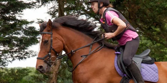 General English Courses plus sporting and other activities | ELC