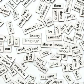 An abstract image of a collection of little magnets on a white background.These are white magnetic strips each of which have a different word written on them. The idea is that you can move the words around to form sentences.